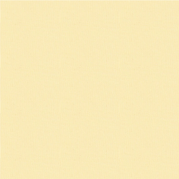 Woven Plain modal Dyeing solid no regular finishing Soft knit fabric