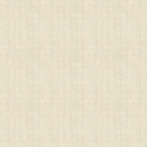 Nylon Plain Woven Fabric - Solid Dyed, Lightweight Monofilament