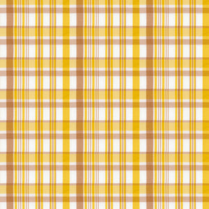 Woven Plain tencel Yarn - Dyed check no regular finishing Nature Soft yarn dyed plaid