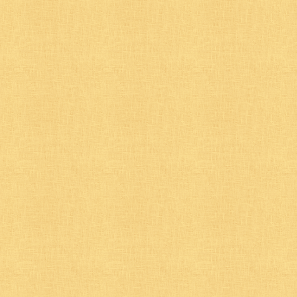 Woven Plain linen Dyeing Dyeing no regular finishing Nature linen plain weave fabric