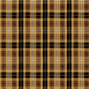 Woven Twill tencel Yarn - Dyed check no regular finishing Vintage/Casual Yarn-Dyed Check