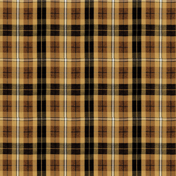 Woven Twill tencel Yarn - Dyed check no regular finishing Vintage/Casual Yarn-Dyed Check